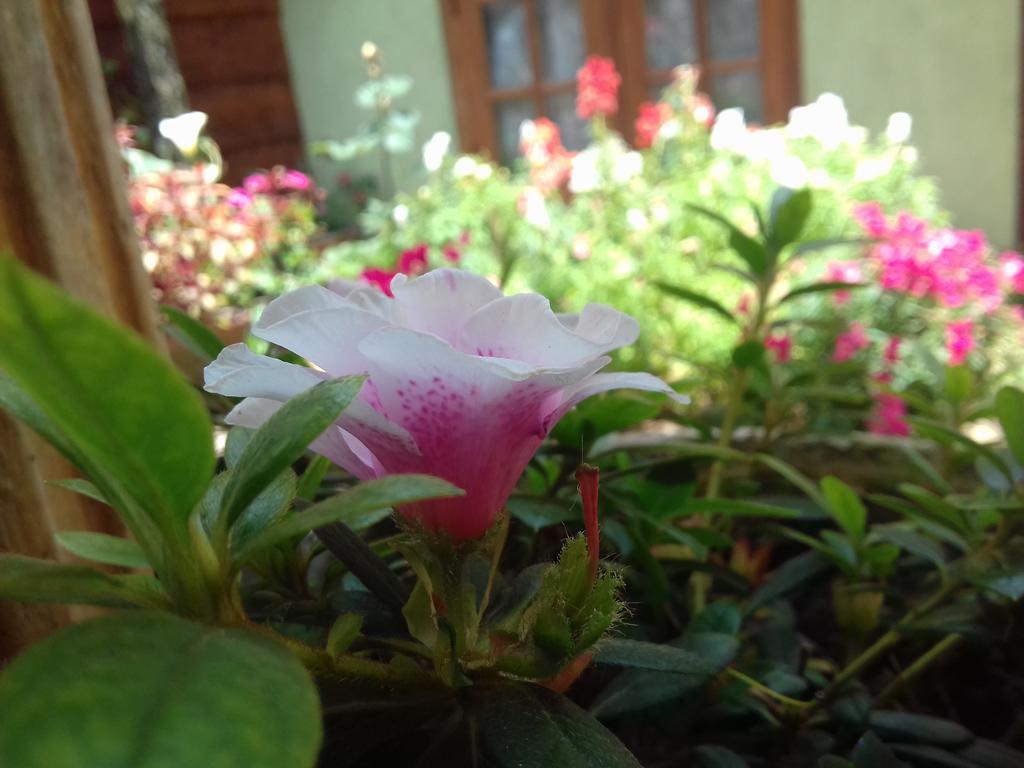 Moon Plain Inn Nuwara Eliya Bagian luar foto